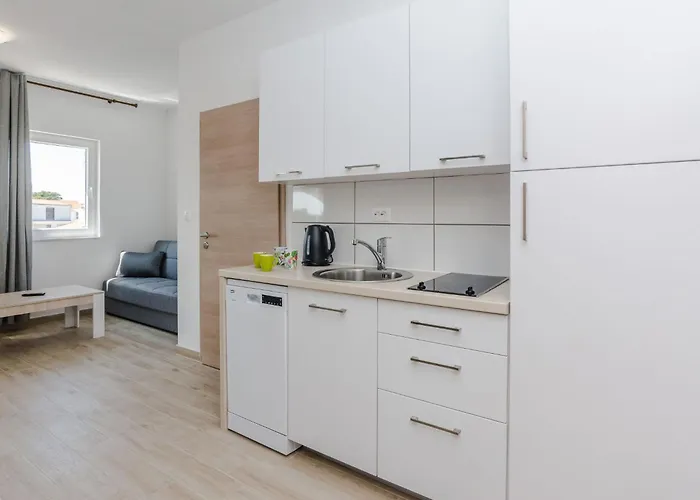 Budimir 3 By Interhome Vir